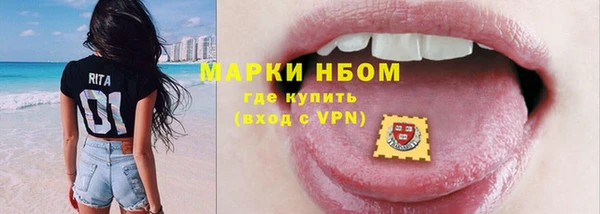 молекула духа Осташков