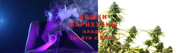 молекула духа Осташков
