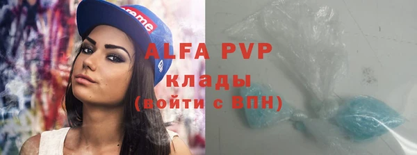 гашик Дубна