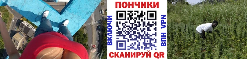 Каннабис сатива  MEGA сайт  Пролетарск 